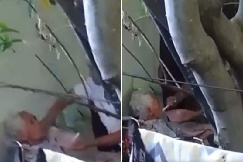 Detuvieron a la mujer que agredió a su madre de 93 años en silla de ruedas (Video) 2